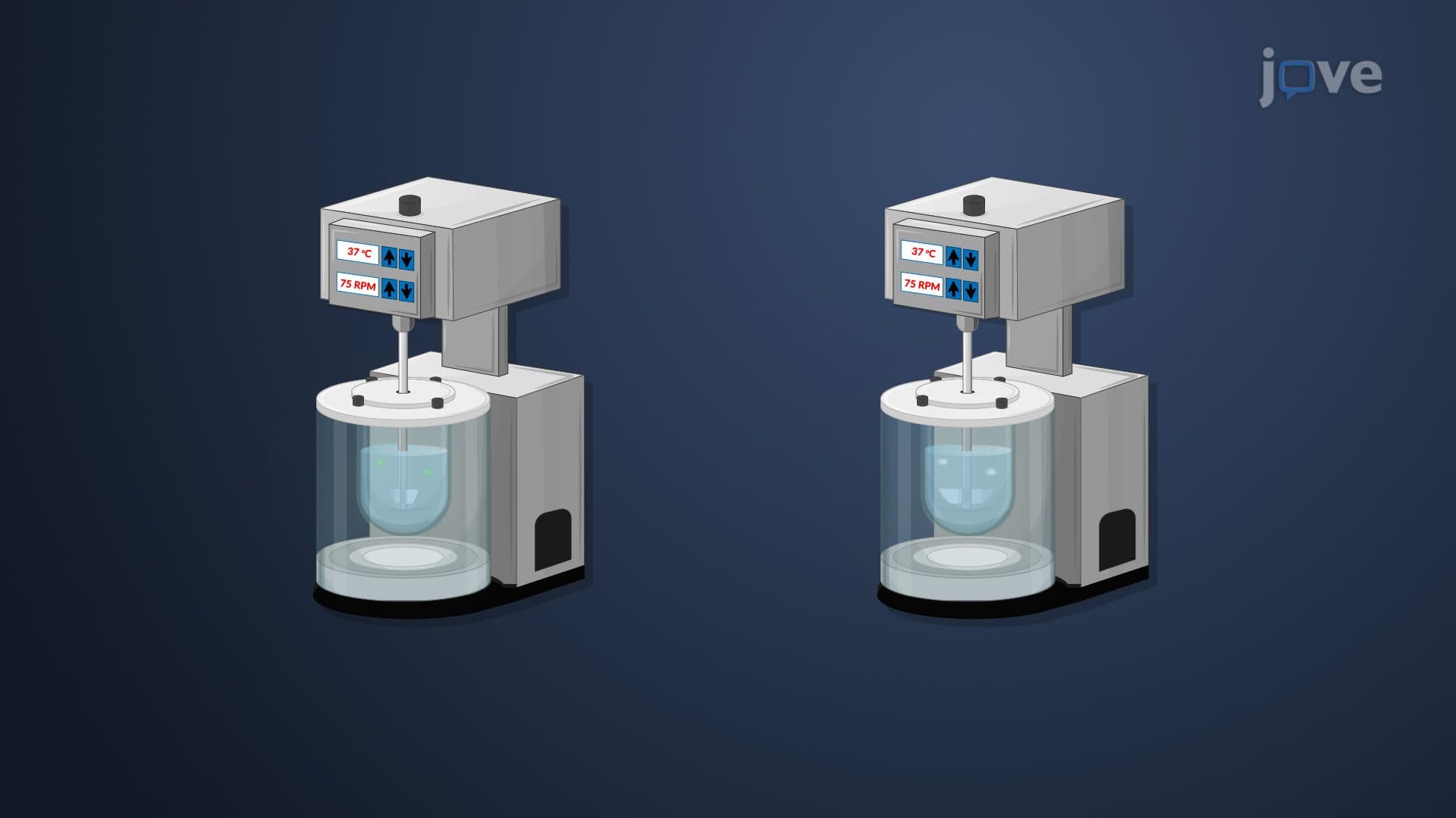 Equivalence: In Vitro and In Vivo Bioequivalence