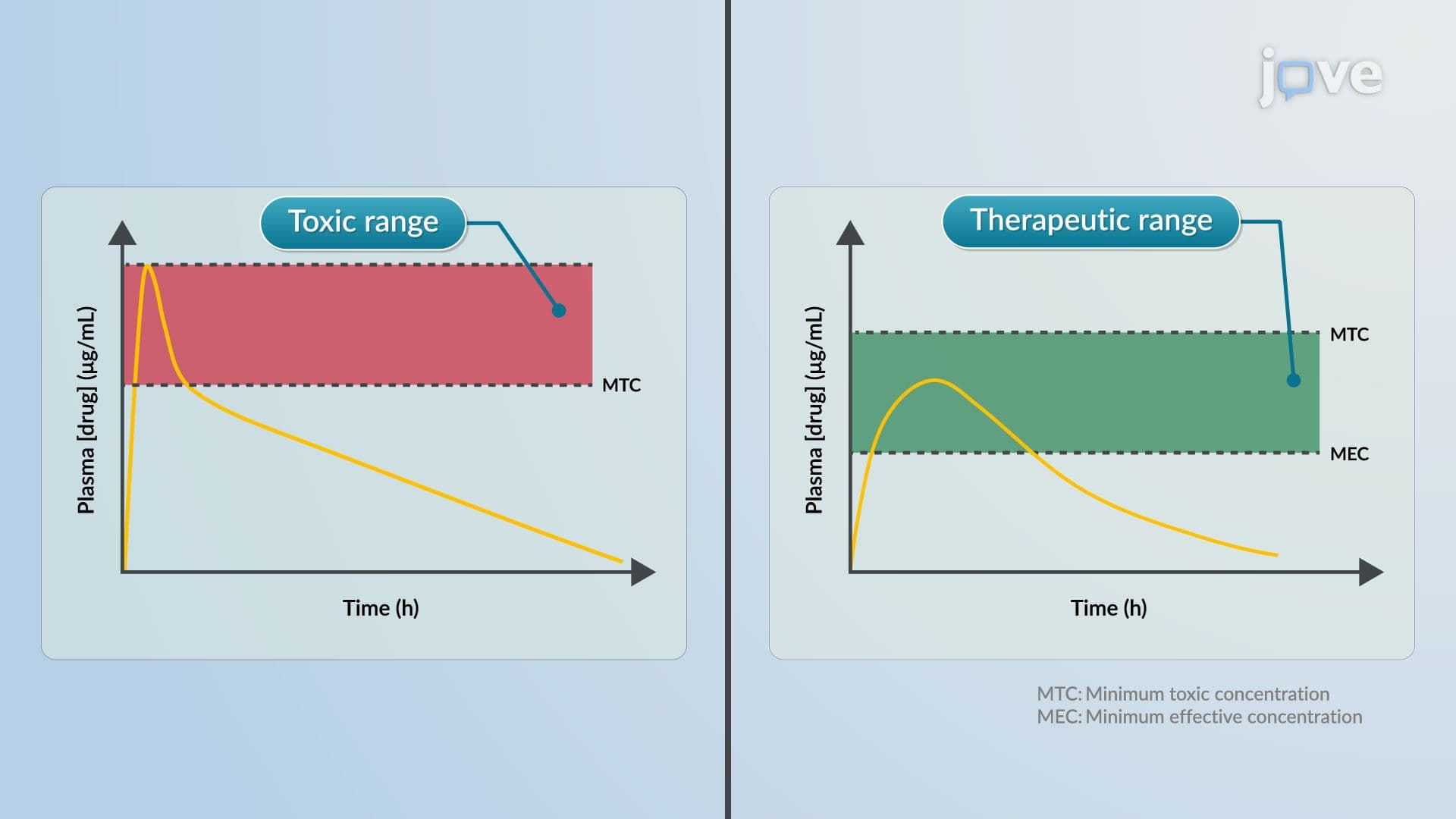 Toxicokinetics: Overview