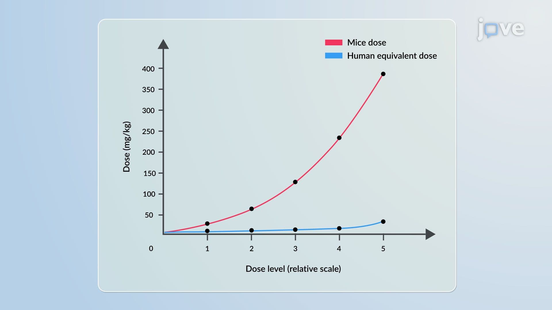 Toxicity Testing in Animals
