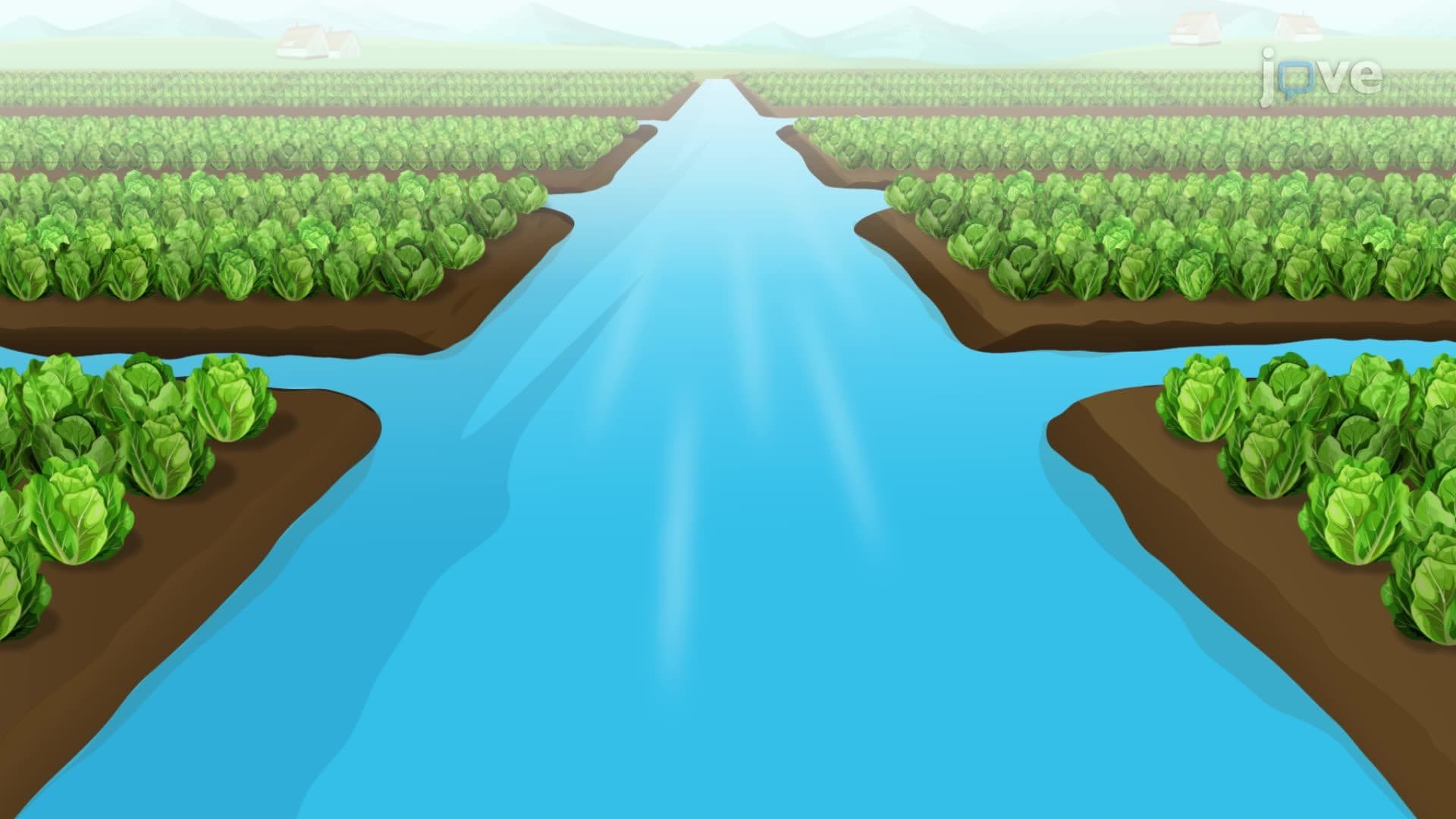 Design Example: Design of an Irrigation Channel