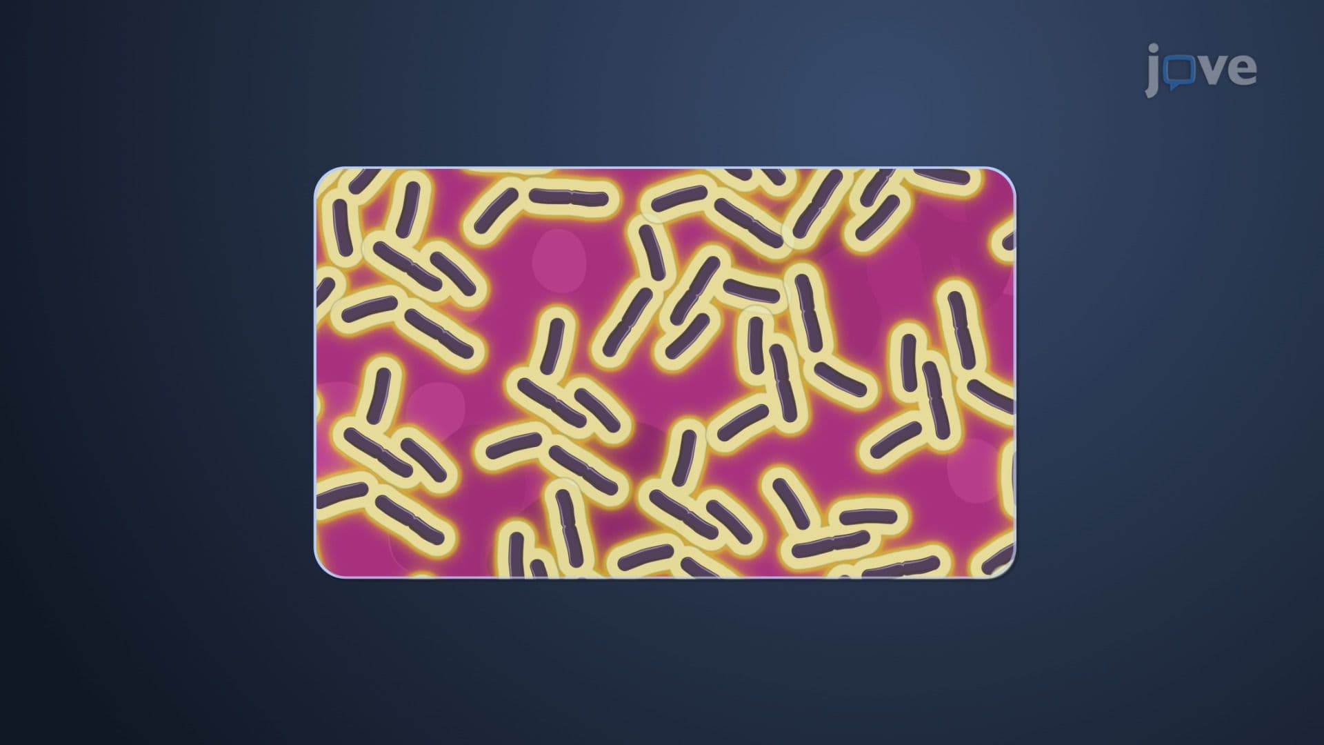Special Staining Techniques