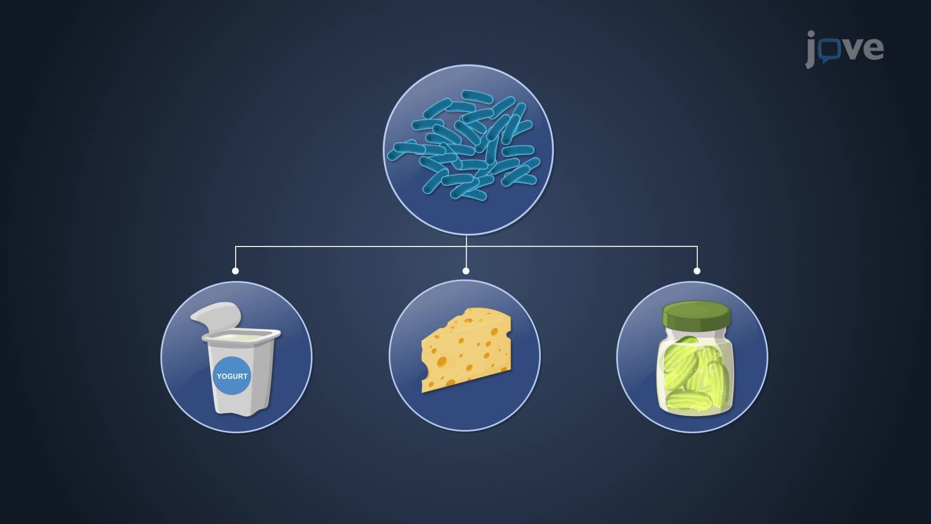 Microorganisms in Agriculture and Food industry