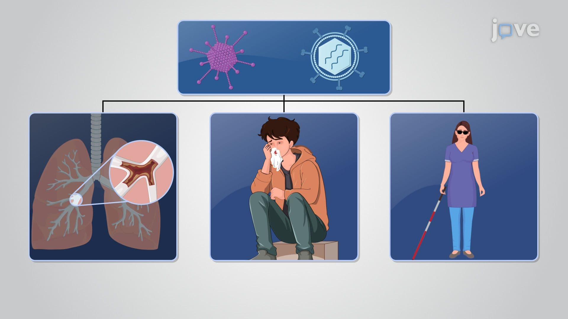 Microorganisms in Medicine and Therapeutics