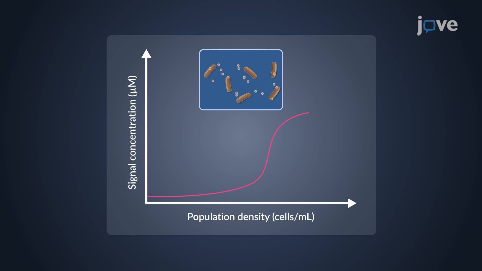 Gene Regulation in Microbial Communities: Quorum Sensing