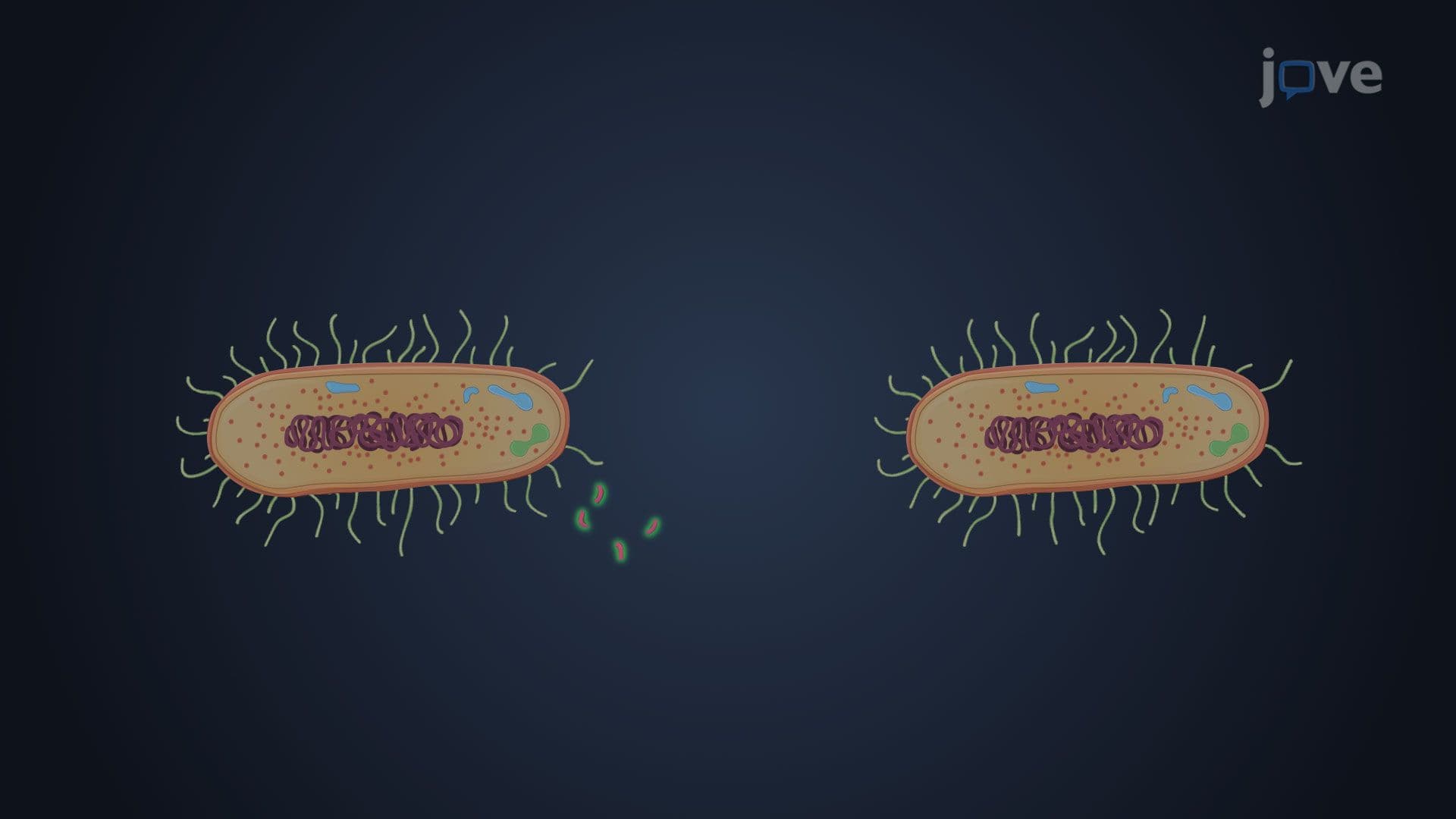 Horizontal Gene Transfer