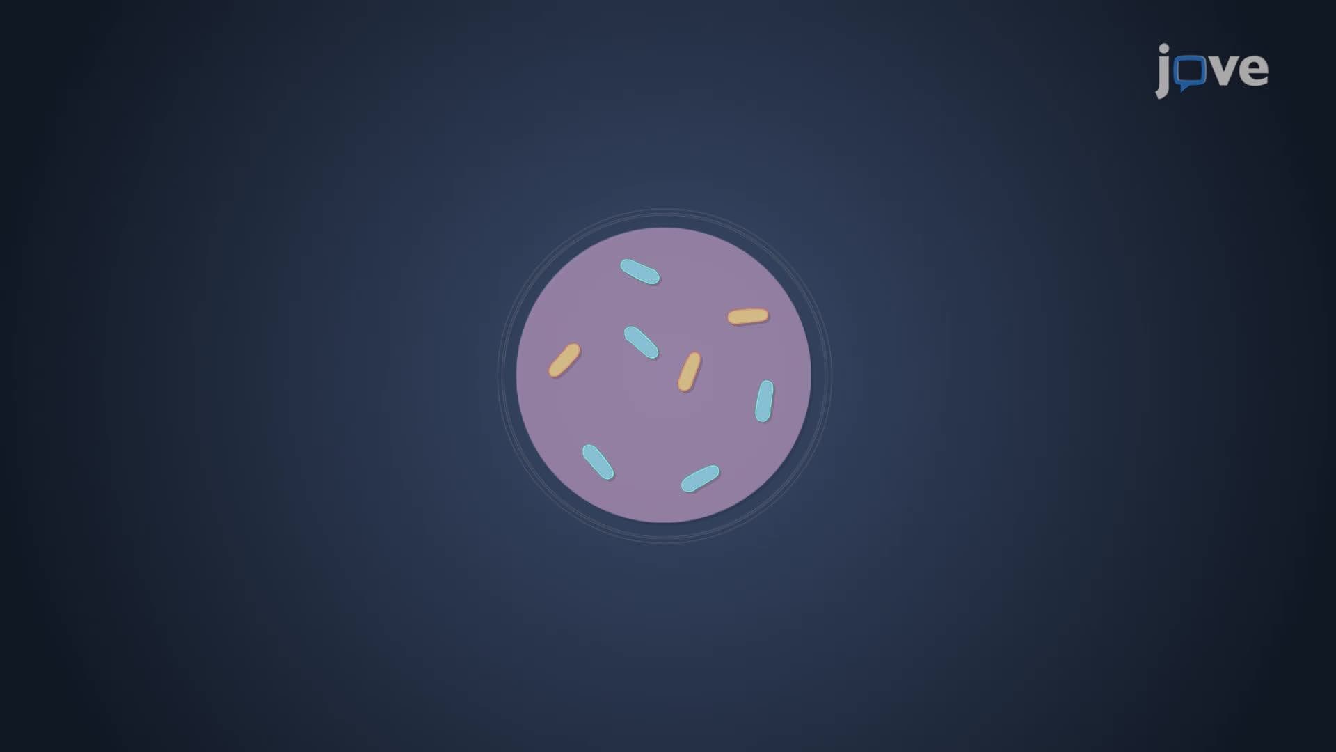 Development of Antibiotic Resistance