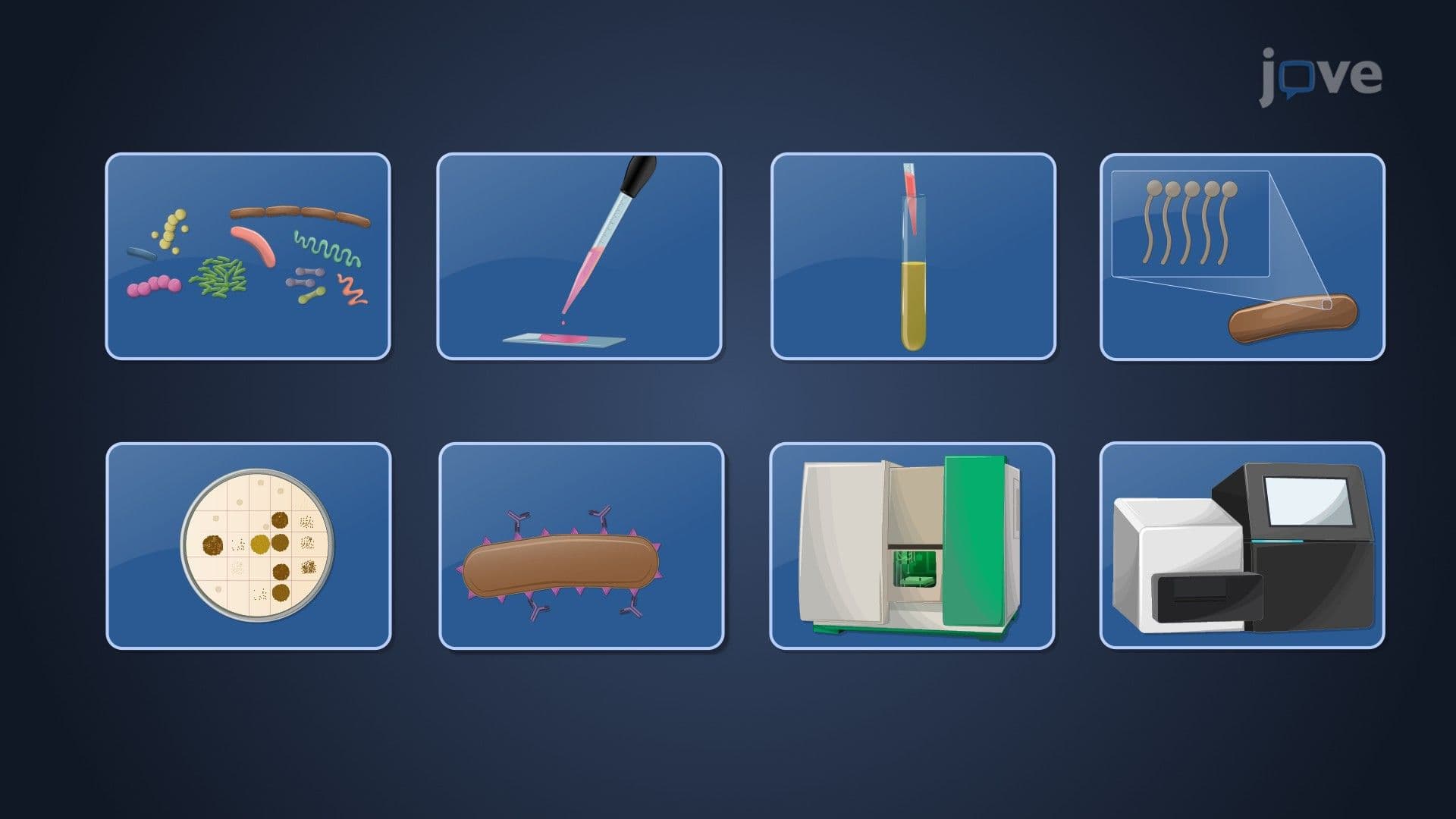 Methods of Classification and Identification