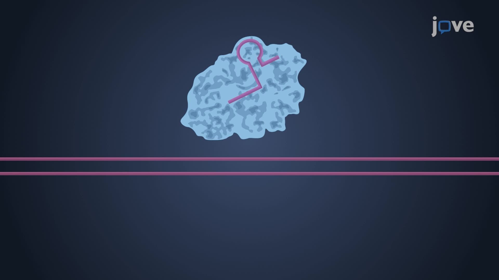 CRISPR/Cas9 Genome Editing