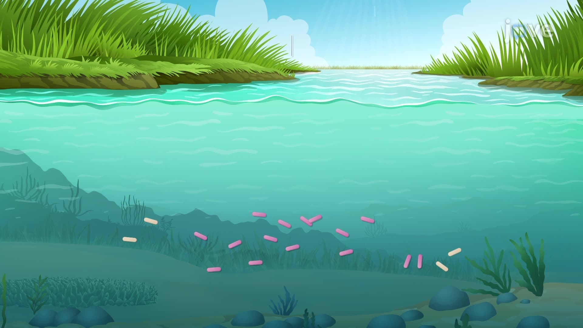 Evolution of New Traits in Microbes