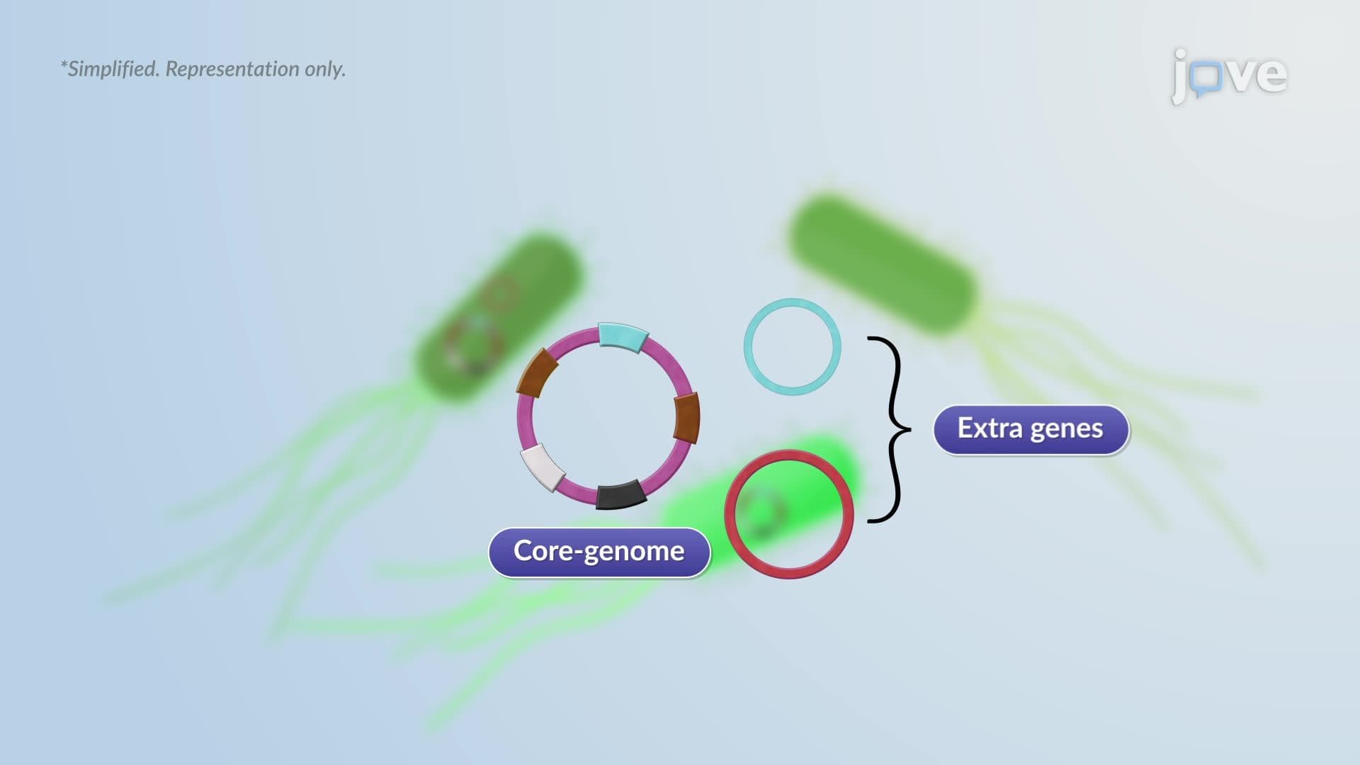 Evolution of Microbial Genome