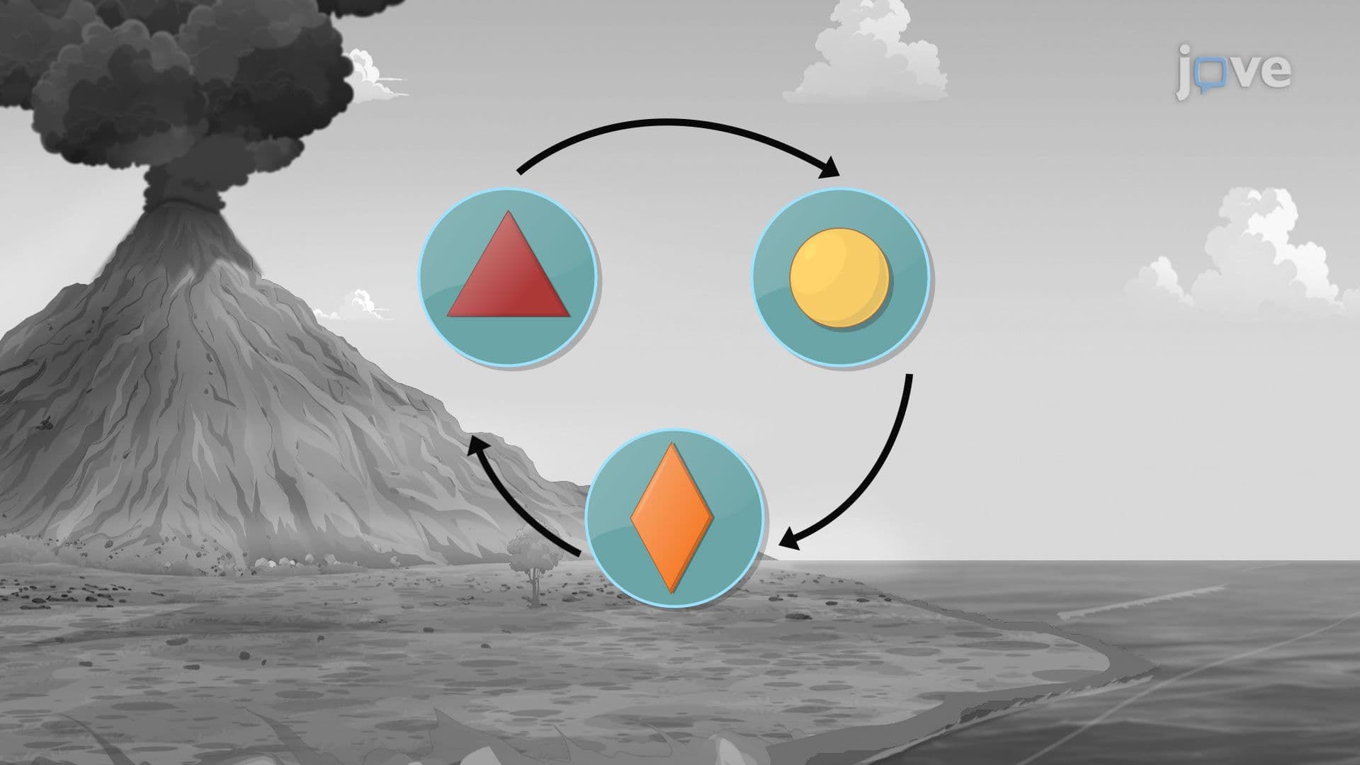 Microbes and the Sulfur Cycle