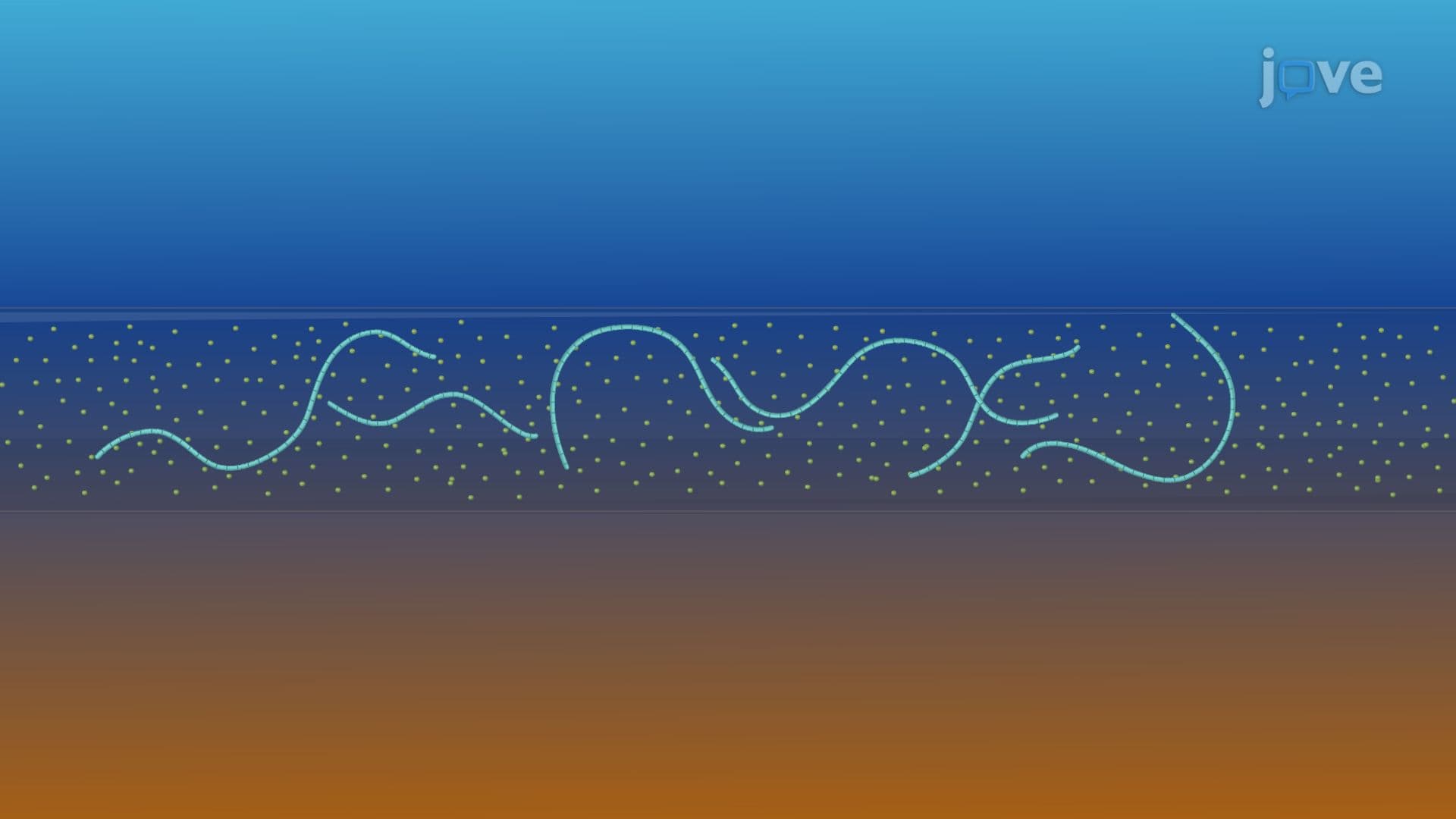 Microbes and Other Elemental Cycles