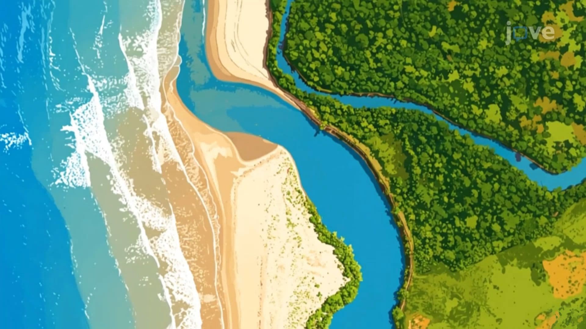 Marine Microbial Ecology