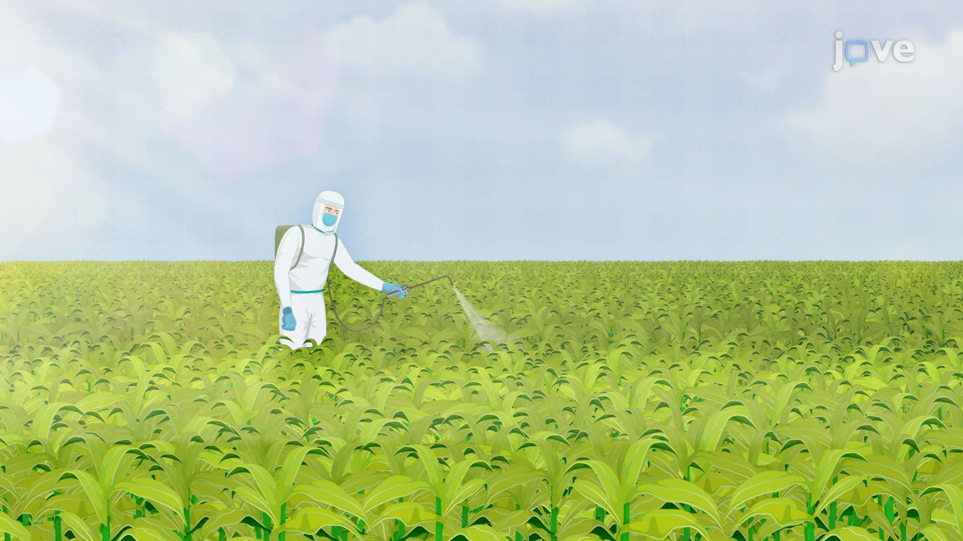 Microbial Bioremediation of Pesticides