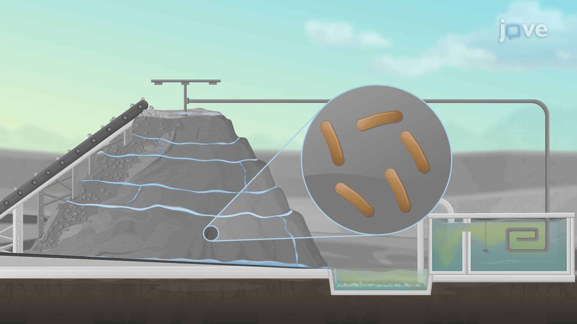 Microbial Leaching