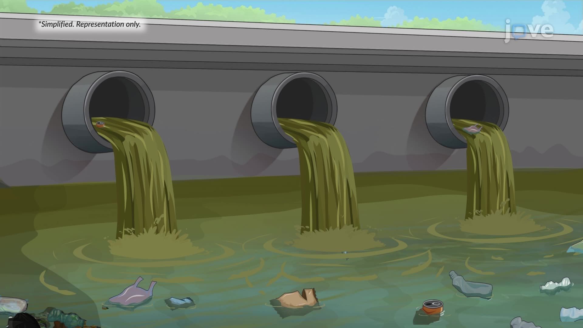 Microbial Wastewater Treatment