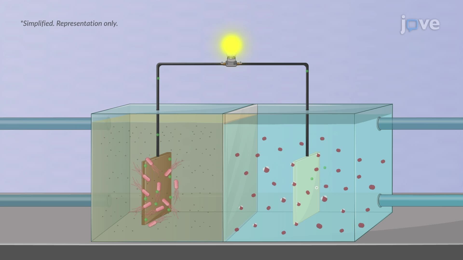 Microbial Fuel Cells