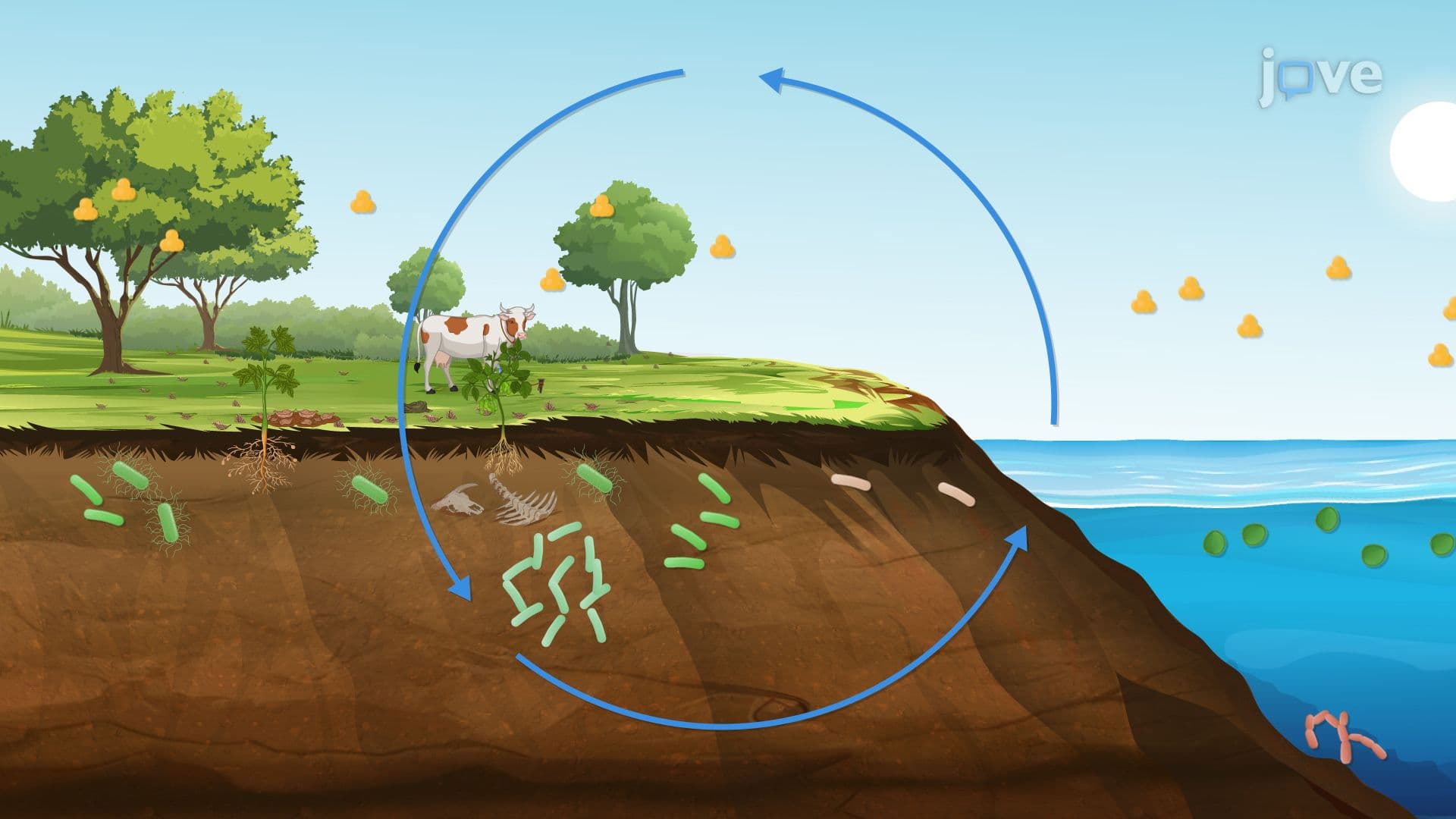 Microbes and Climate Change