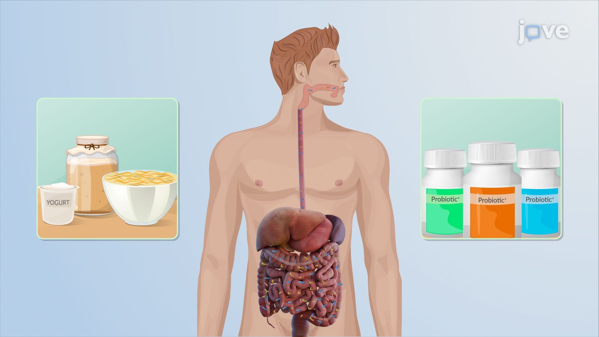 Probiotics