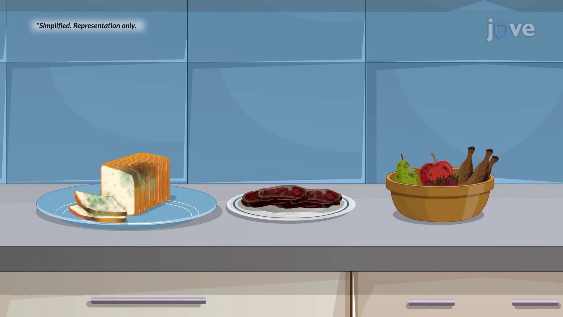 Methods of Controlling Food Spoilage