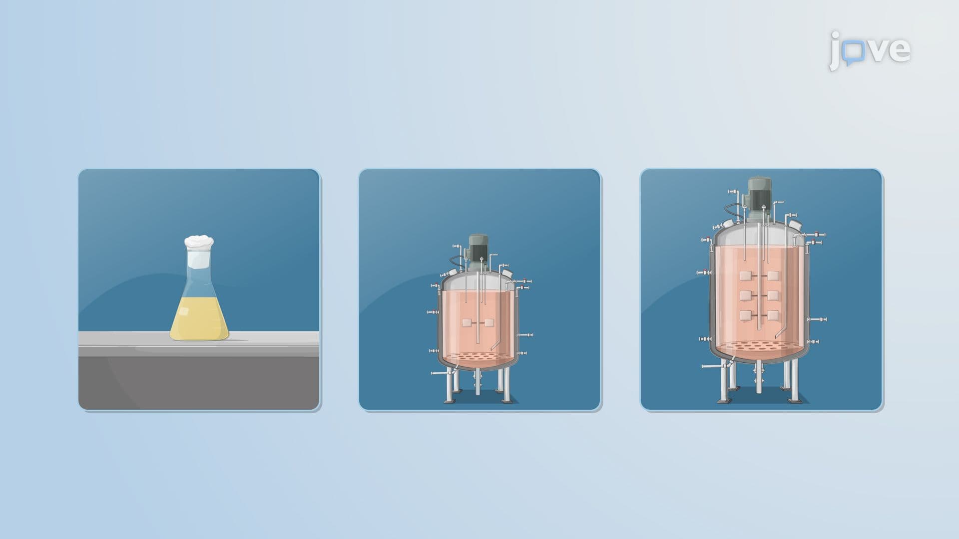 Scale-Up Processes
