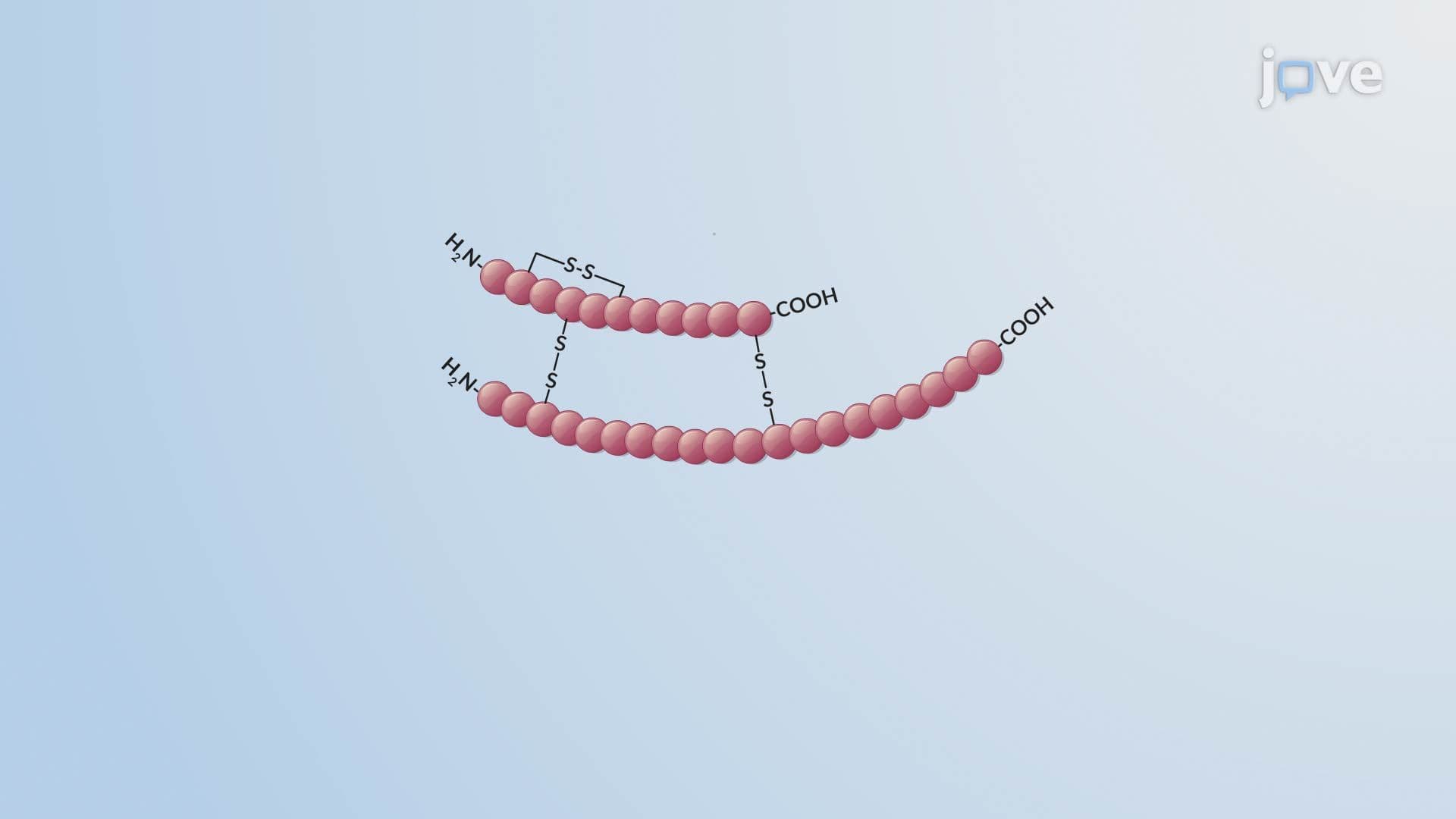 Production of Pharmaceuticals