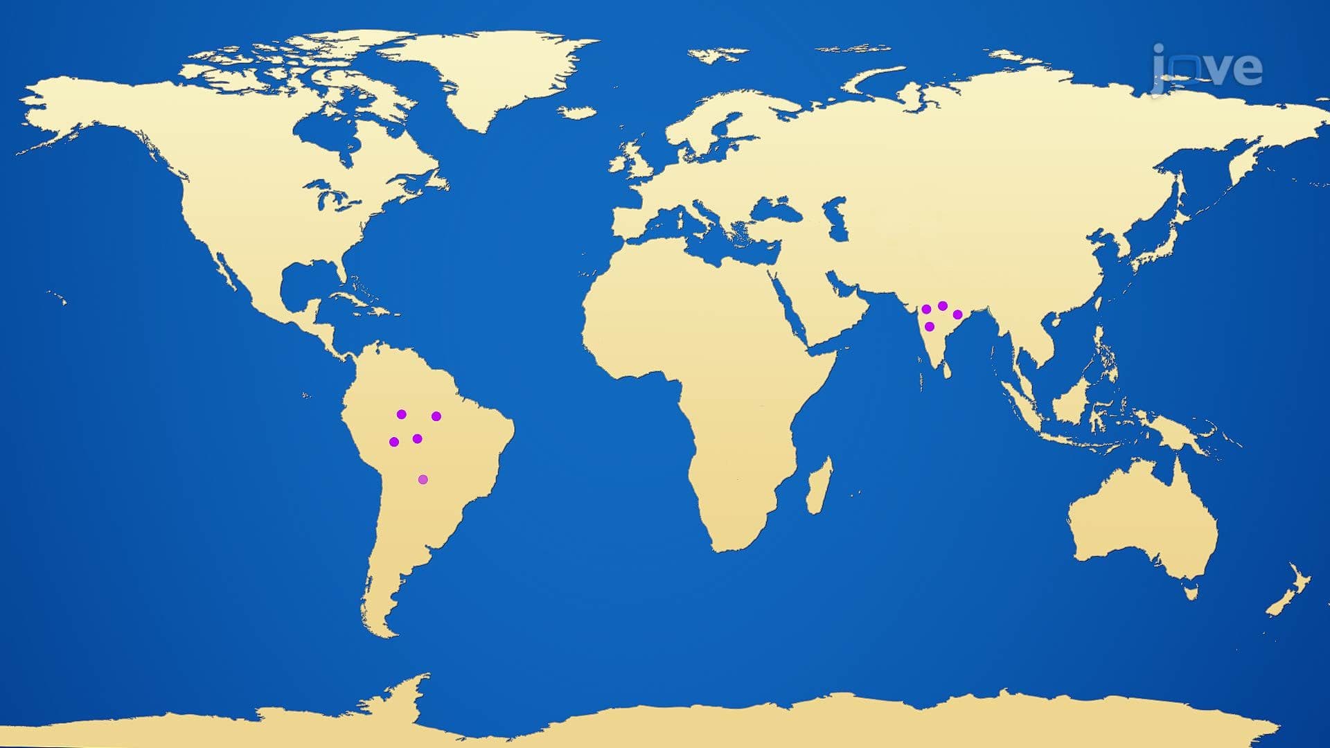 Infectious Diseases and Their Occurrence
