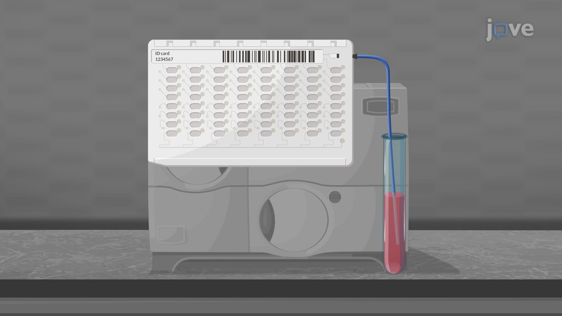 Automated Microbial Diagnostics