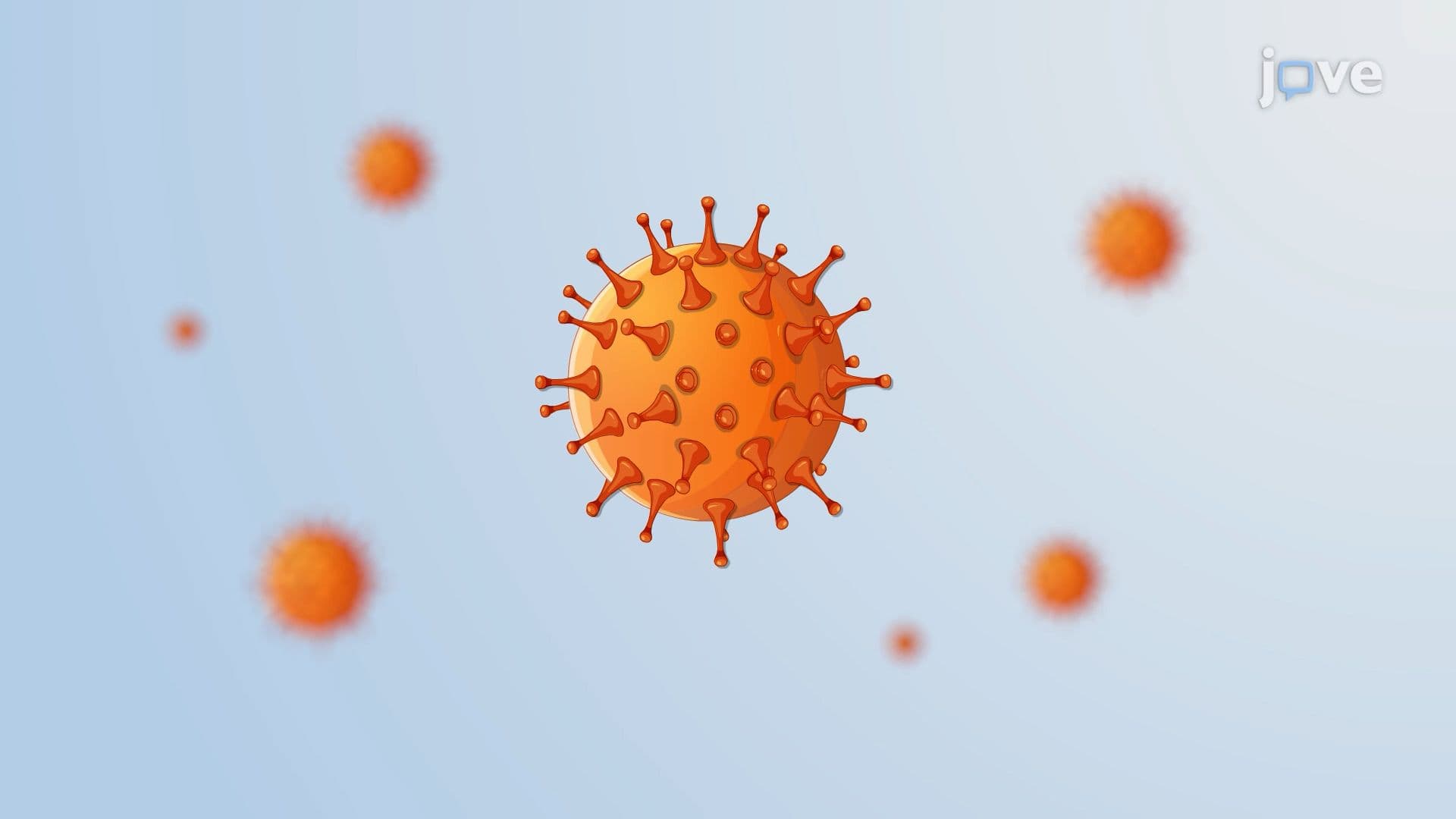 Cytomegalovirus Disease