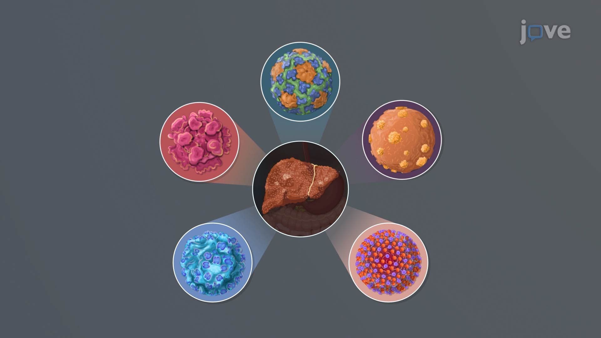 Viral Hepatitis I: Introduction