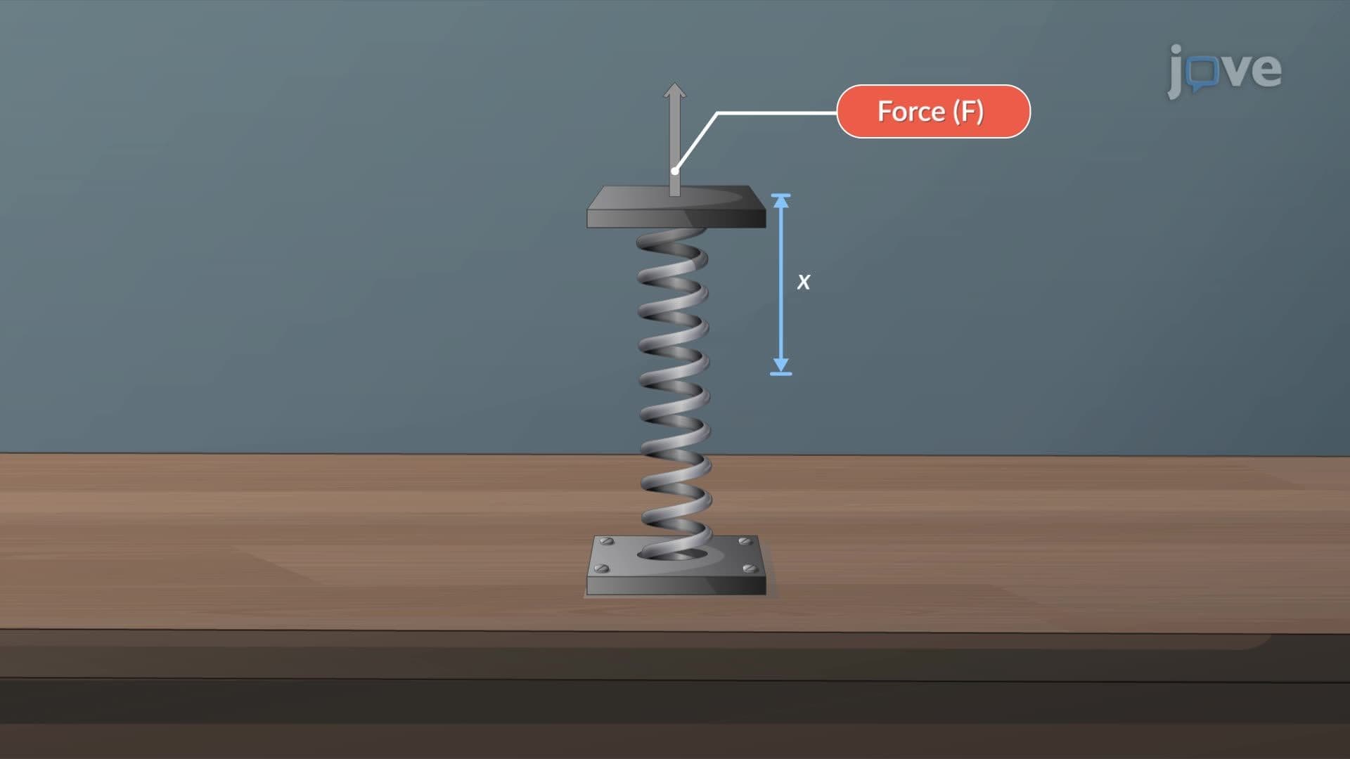 Transformations of Functions III