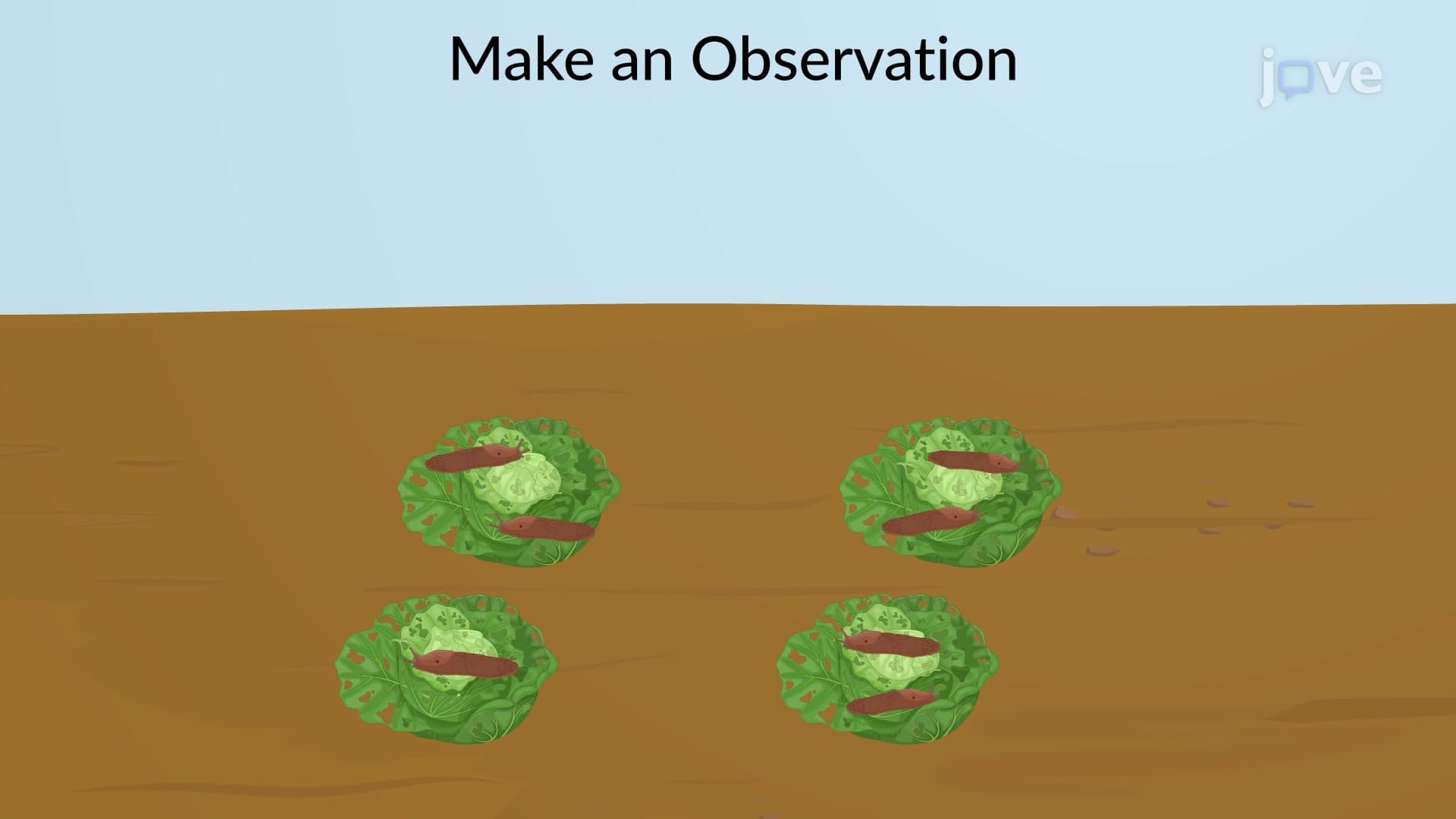 The Scientific Method
