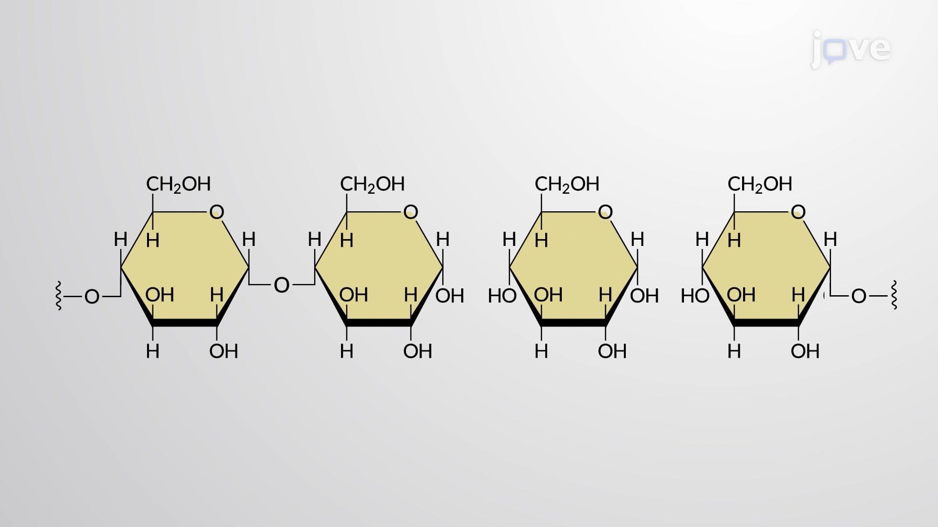Dehydration Synthesis