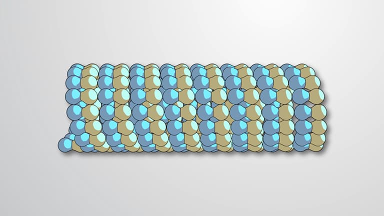 Microtubules