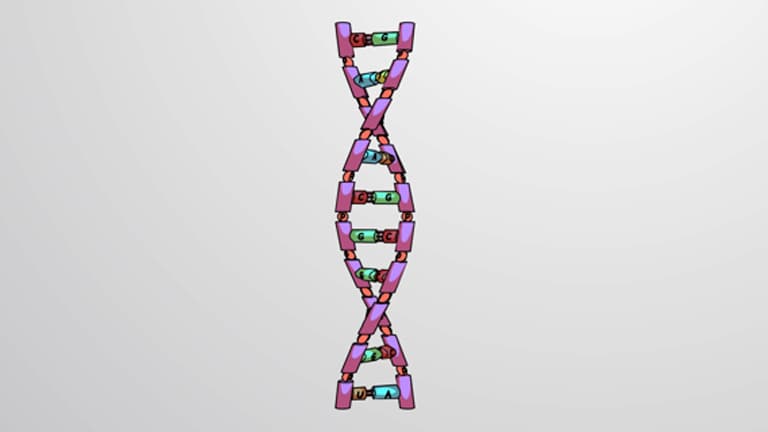 What is Gene Expression?
