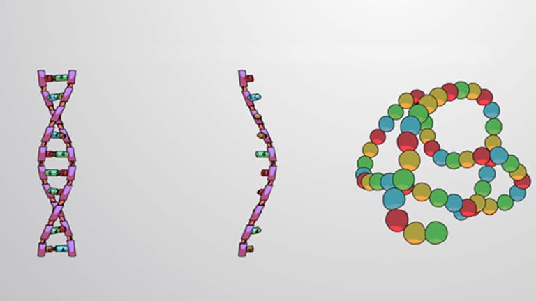 The Central Dogma
