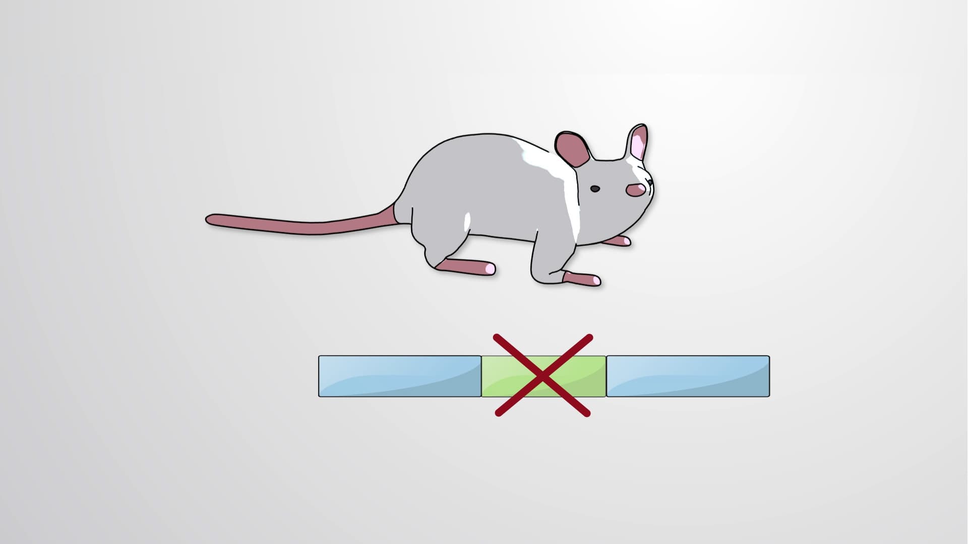 In-vitro Mutagenesis