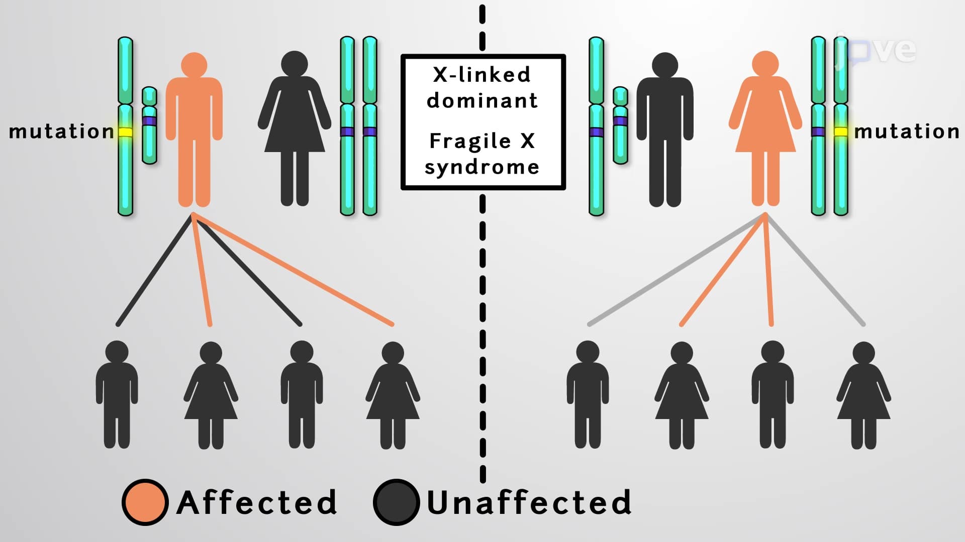Sex-linked Disorders