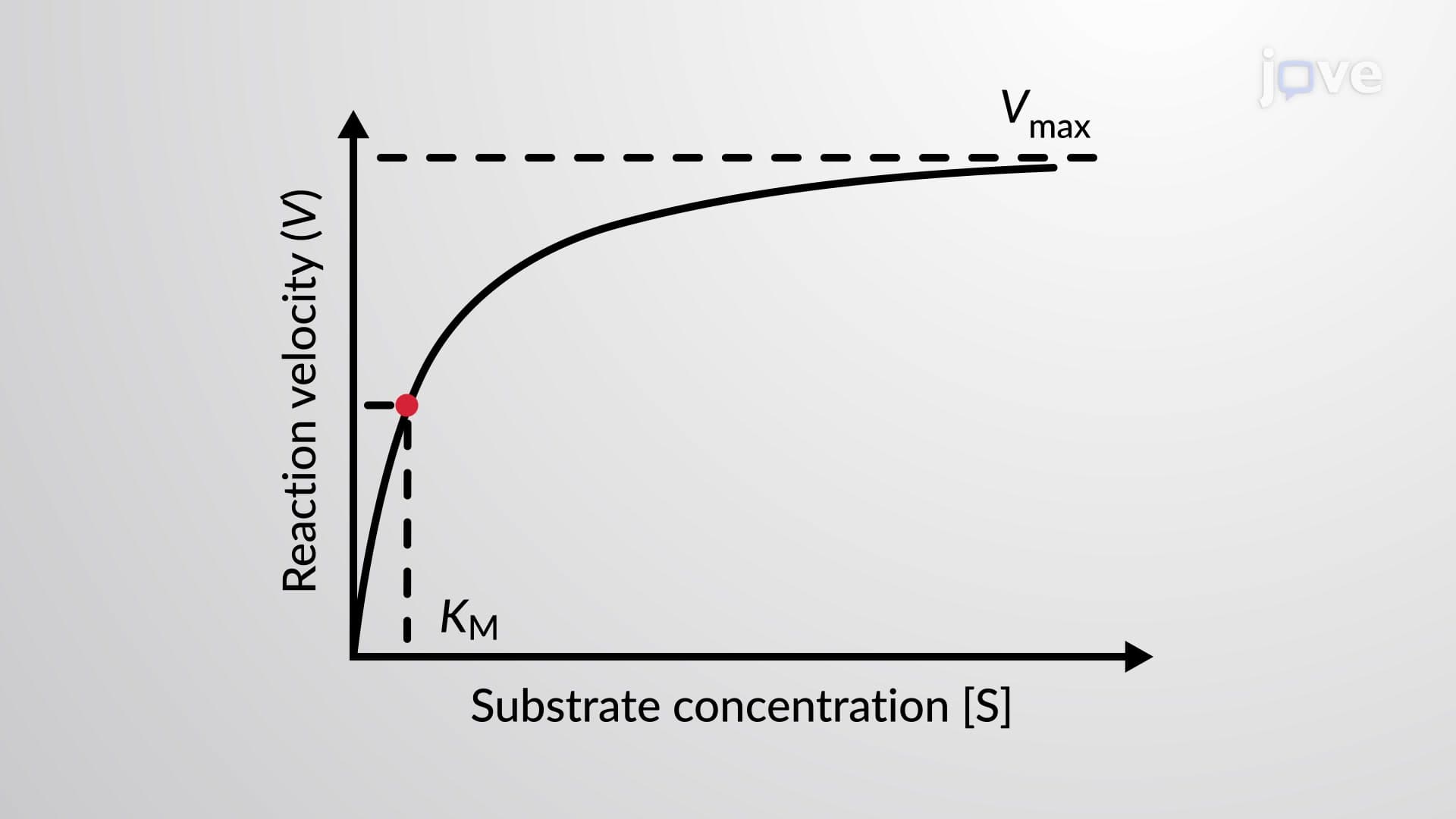 Enzyme Kinetics