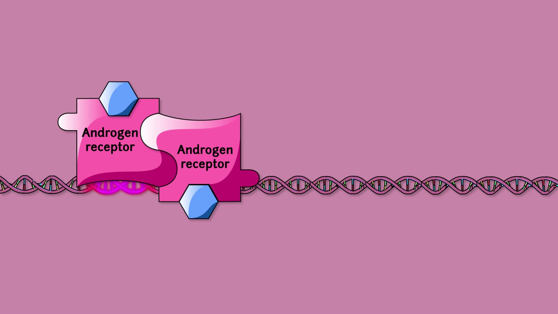 Internal Receptors