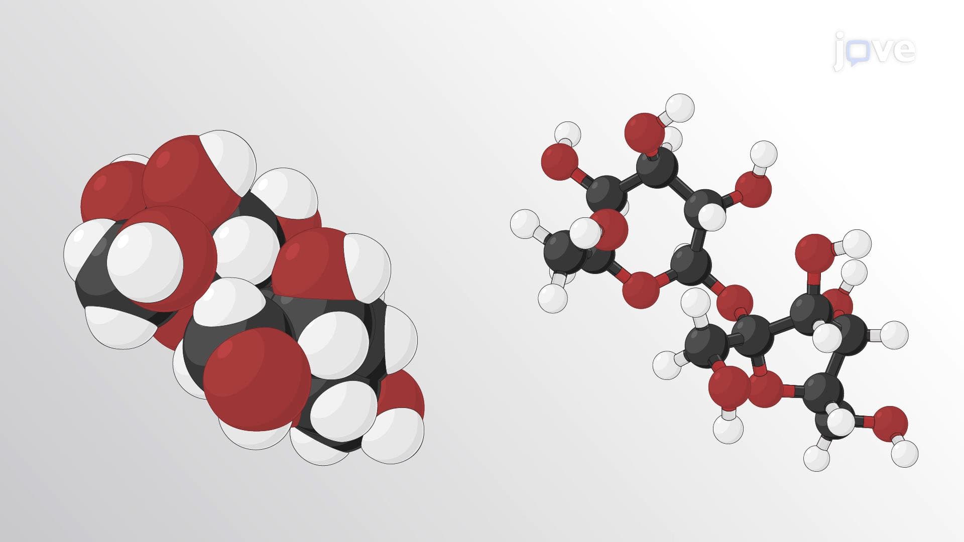 Molecular Models