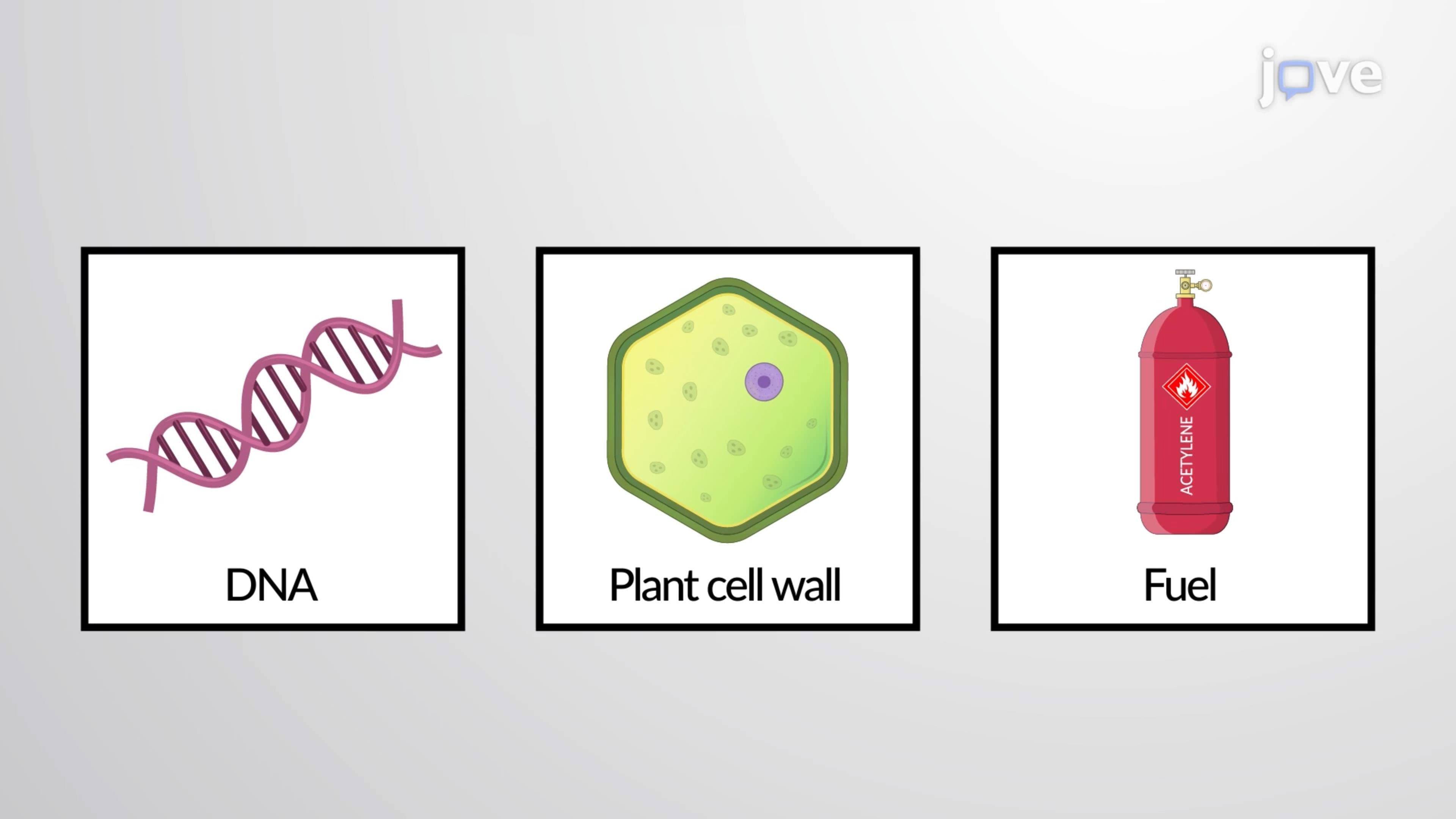 Organic Compounds