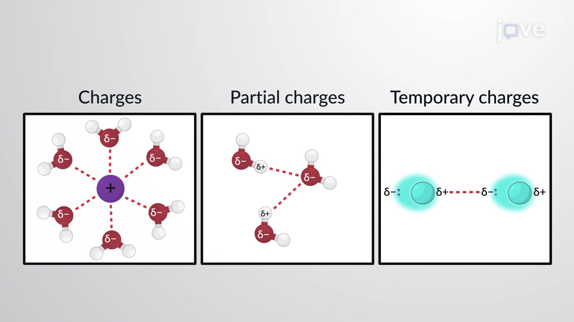 Intermolecular Forces