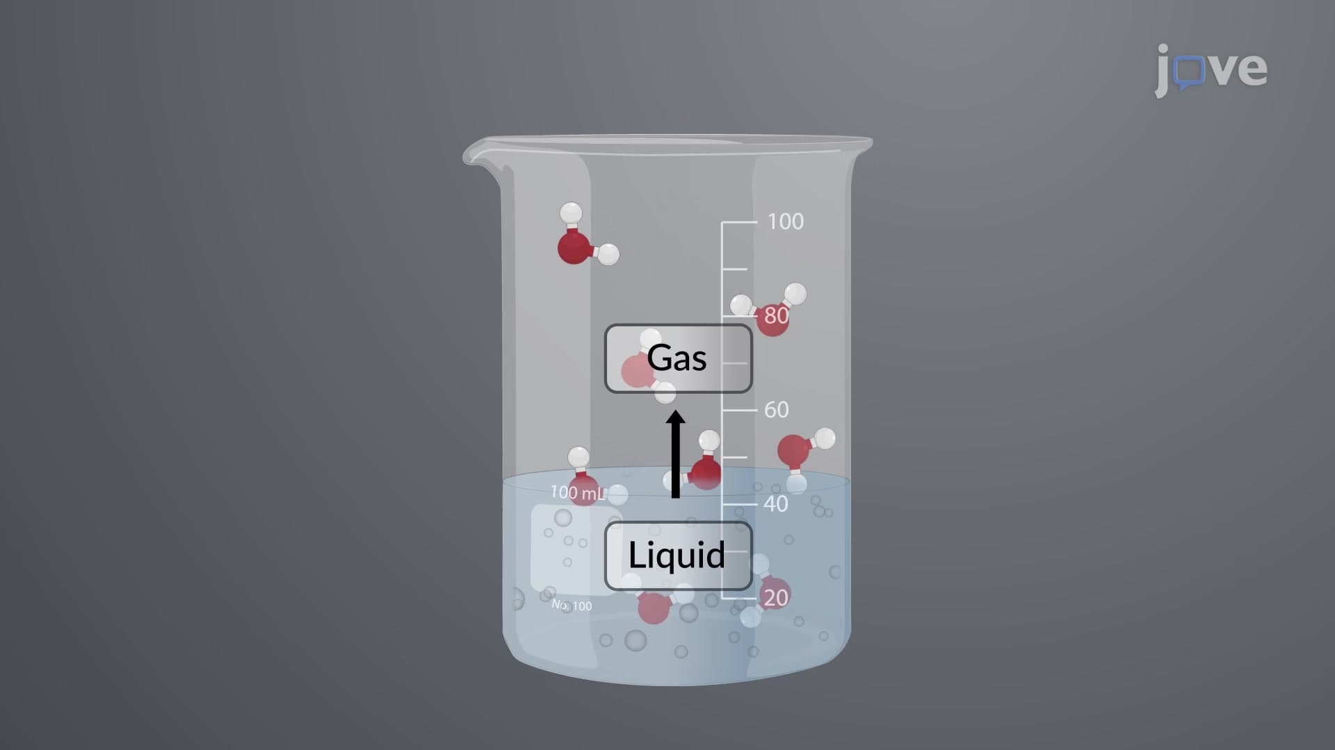Phase Transitions: Vaporization and Condensation
