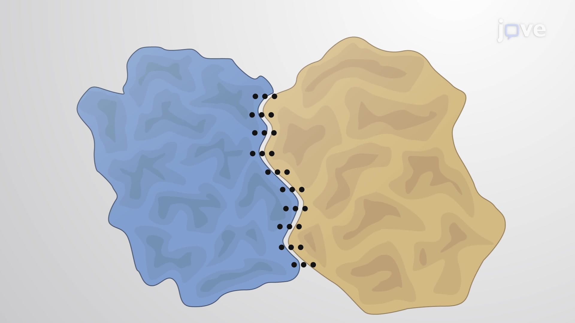Protein-protein Interfaces