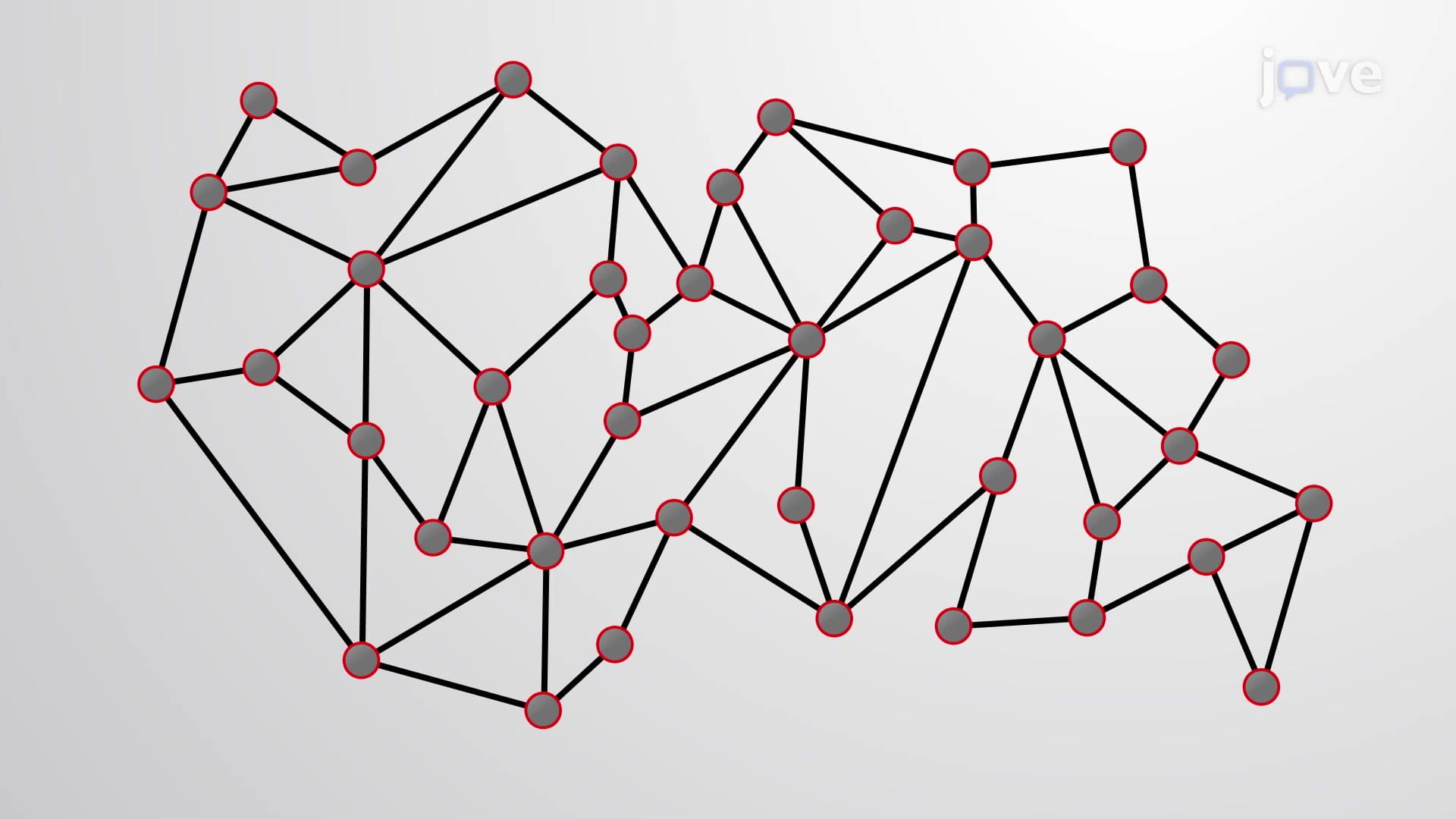 Protein Networks