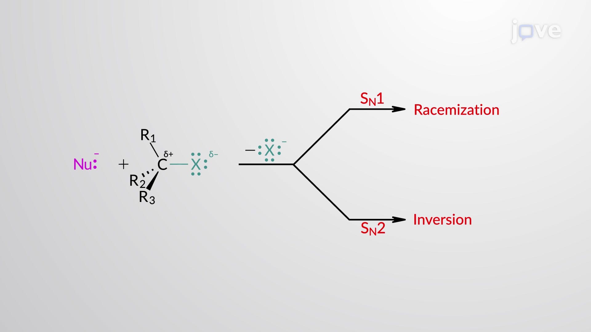 Predicting Products: SN1 vs. SN2
