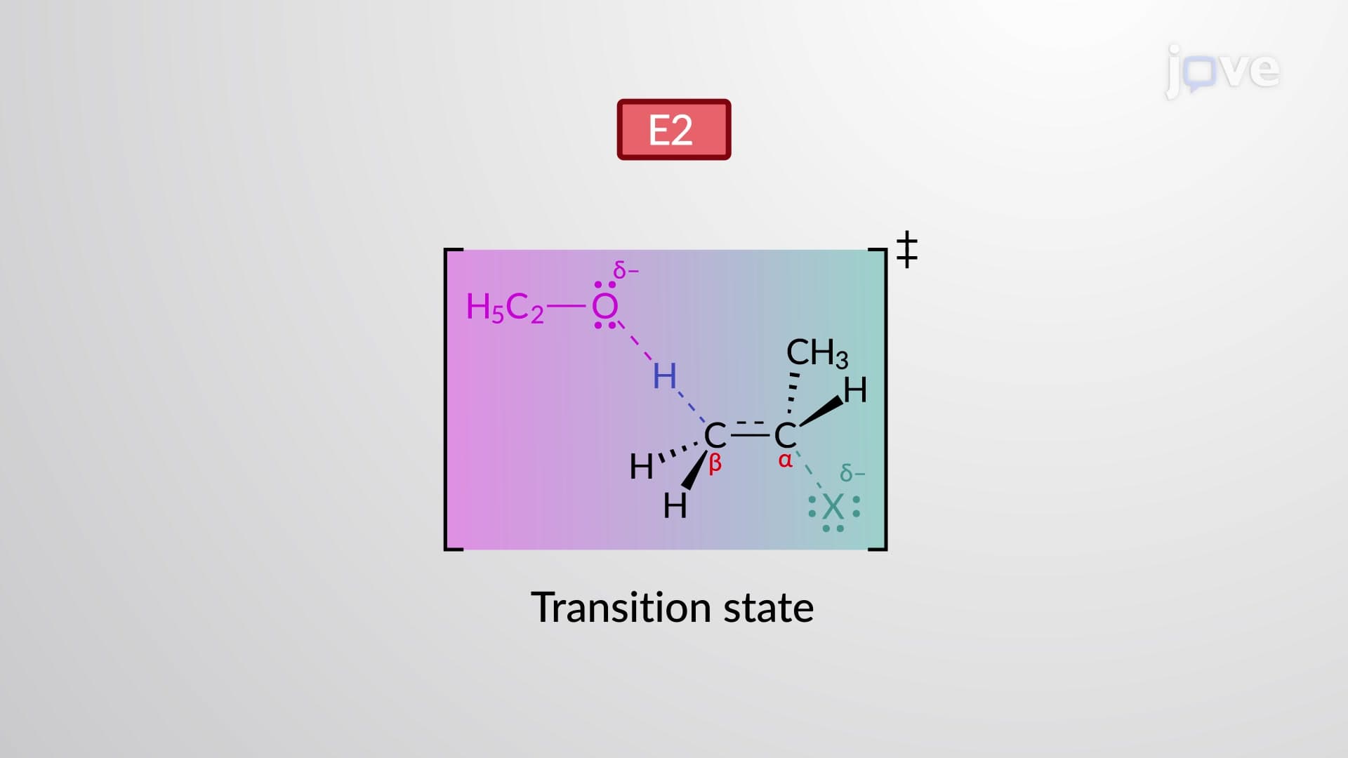 E2 Reaction: Kinetics and Mechanism