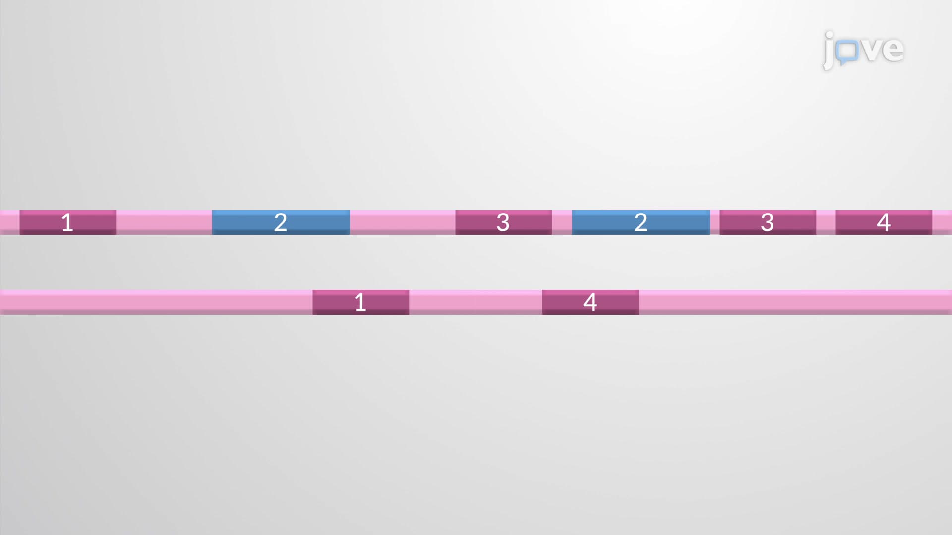 Exon Recombination