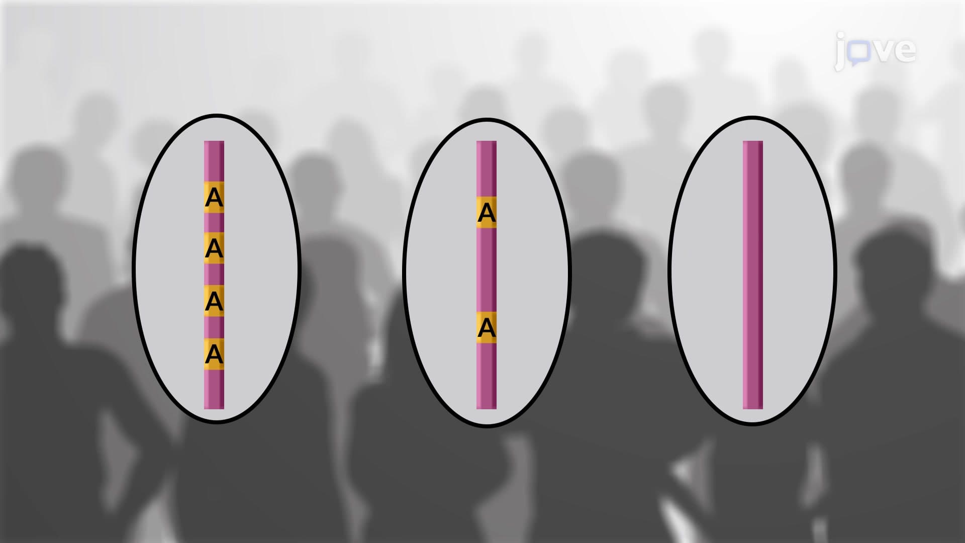 Comparing Copy Number Variations and SNPs